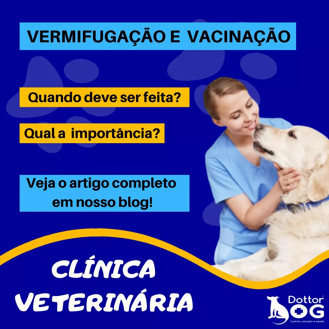 FILHOTES: QUAL O MOMENTO CERTO PARA VERMIFUGAÇÃO E VACINAÇÃO?